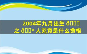 2004年九月出生 🕊 之 🐺 人究竟是什么命格